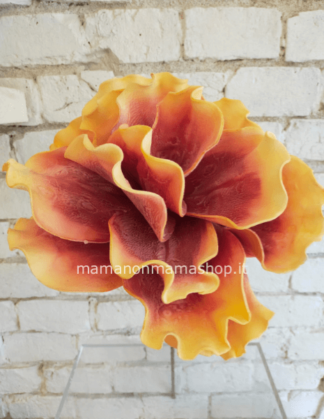 Fiori di Magnolia in Foam